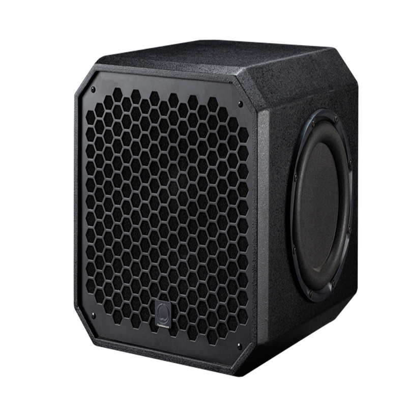 Outdoor Power Amplifier - Profesjonalny 12-calowy aktywny głośnik DJ z